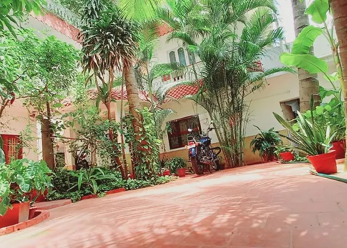 Cheap hotel: Daphne Hotel