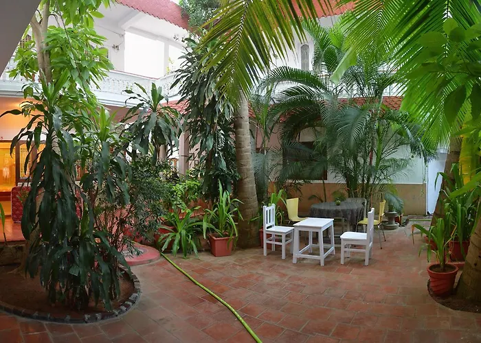 Cheap hotel: Daphne Hotel